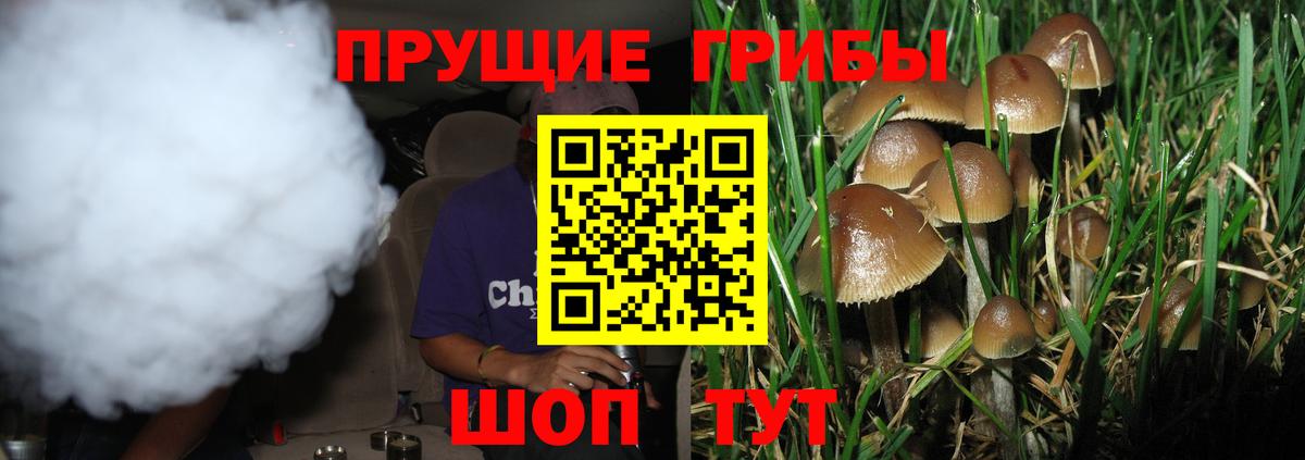 Киселёвск  Галлюциногенные грибы ЛСД  Вход с VPN 